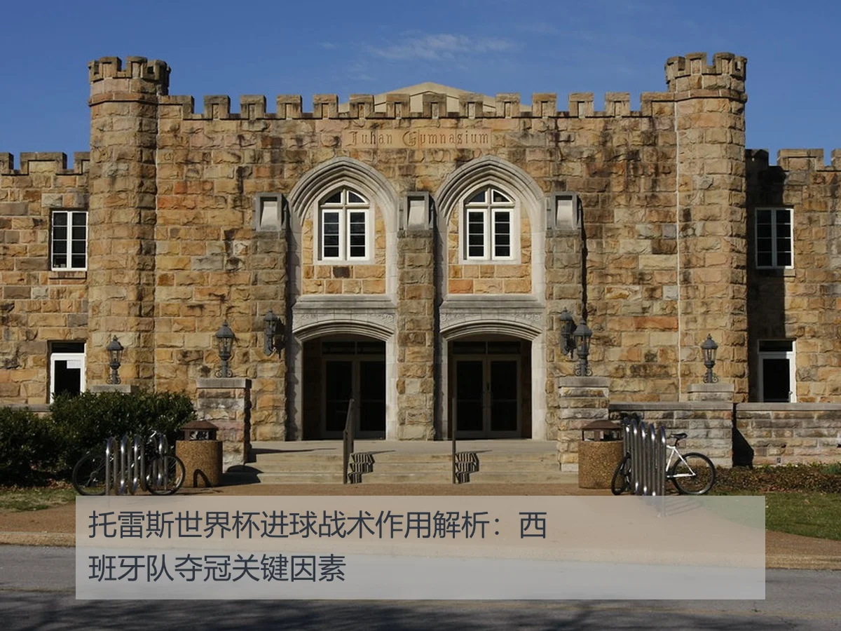 托雷斯世界杯进球战术作用解析:西班牙队夺冠关键因素